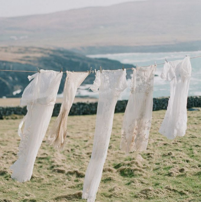 blacka and white flowers